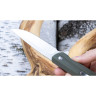 Нож BUCK 0251GRS LANGFORD B0251GRS